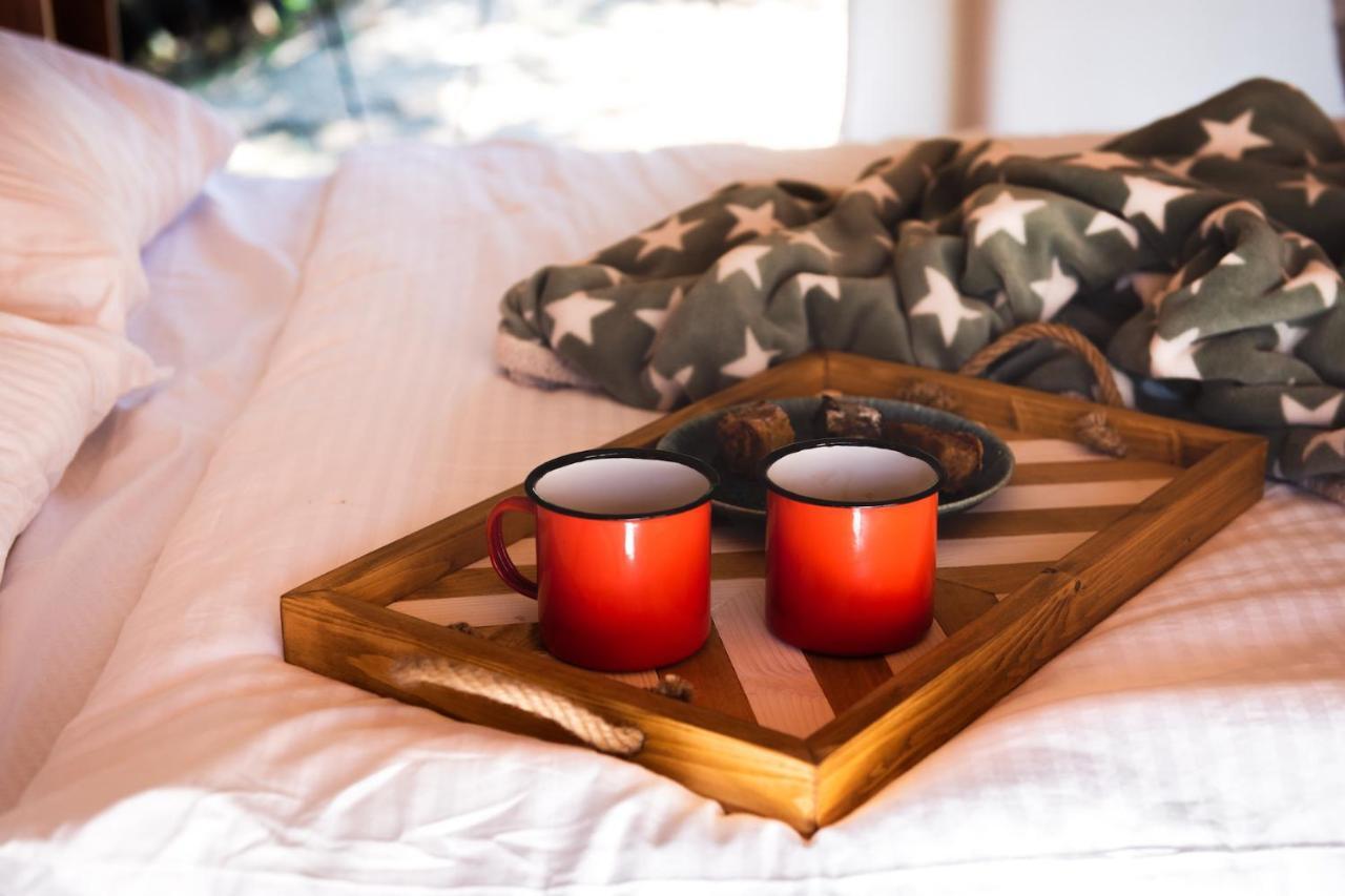 فندق Forrest Glamping Banská Štiavnica المظهر الخارجي الصورة